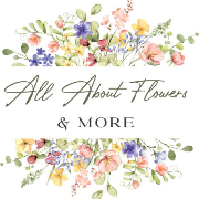 All About Flowers & More