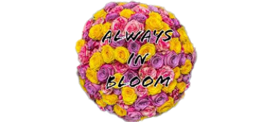 ALWAYS IN BLOOM