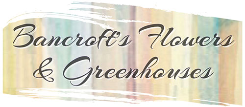 Bancroft's Flowers & Greenhouses