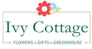 Ivy Cottage Flowers Gifts & Greenhouse