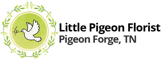 LITTLE PIGEON FLORIST