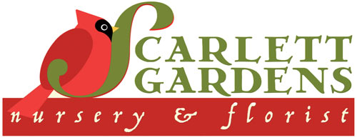 Scarlett Gardens Nursery & Florist