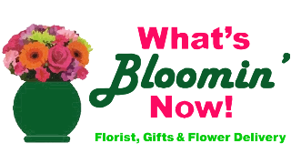 What's Bloomin' Now Florist Gifts Flower Delivery