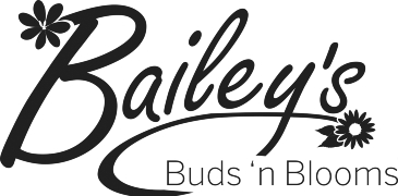 BAILEY'S BUDS 'N BLOOMS