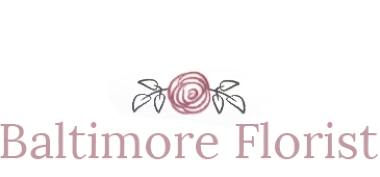 Baltimore Florist