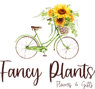 Fancy Plants' Flowers & Gifts
