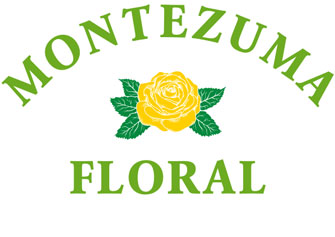 Montezuma Floral