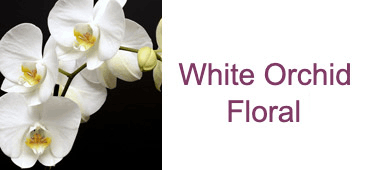 White Orchid Floral