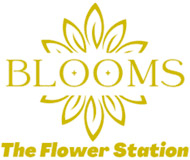 Blooms The Flower Station