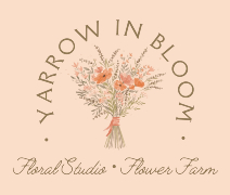 Yarrow in Bloom