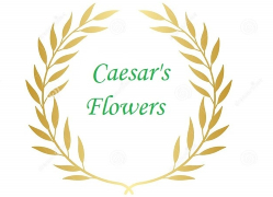 Caesars Flowers