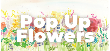 Pop Up Flowers