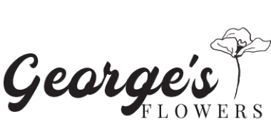 Homepage