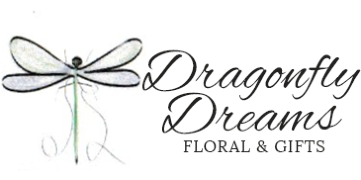 Dragonfly Dreams