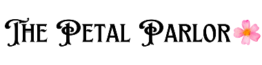 Homepage