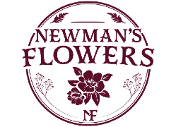 Newman's Flowers