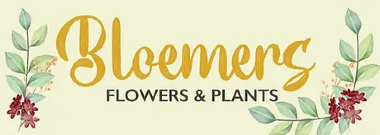 BLOEMERS FLOWERS & PLANTS