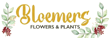 BLOEMERS FLOWERS & PLANTS