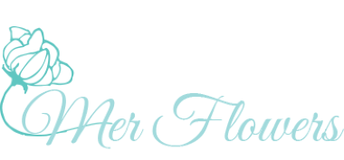 Homepage