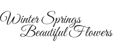 Winter Springs Beautiful Flowers