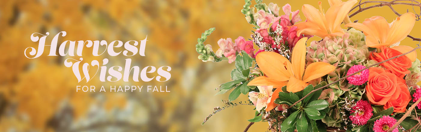 SHOP FALL FLOWERS NOW