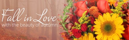 Blaine Florist | Blaine MN Flower Shop | ADDIE LANE FLORAL & GIFTS