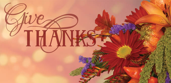 Shop Thanksgiving Flowers Now